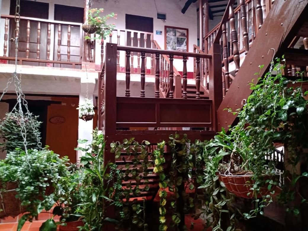 Hotel Central Graciela Valle de San José Exteriér fotografie